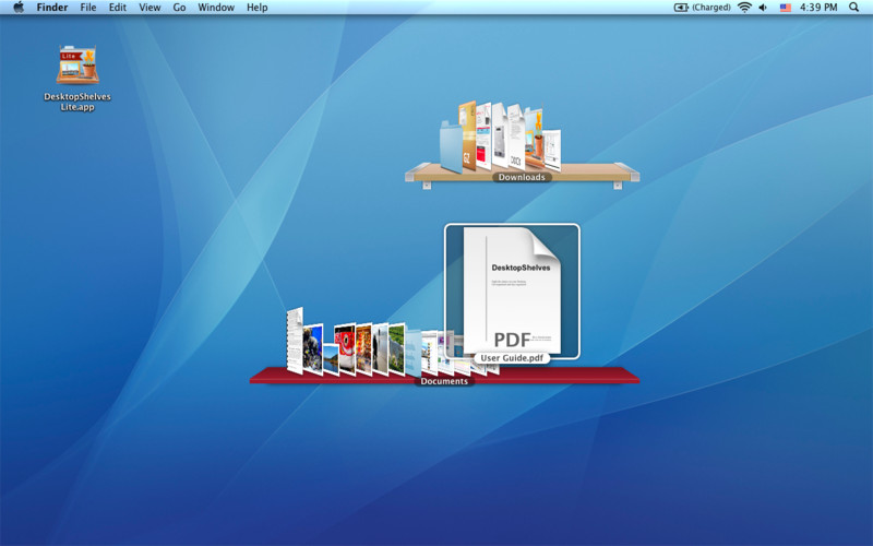 DesktopShelves Lite 2.1 : DesktopShelves Lite screenshot