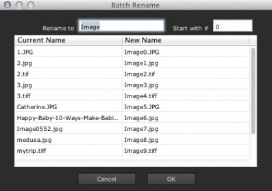 Batch Renaming Images