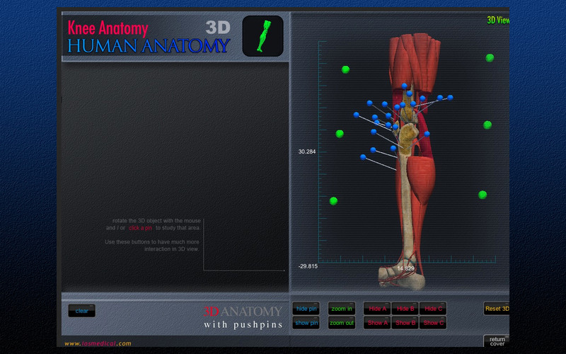 Knee Anatomy 3D 1.0 : Main Window