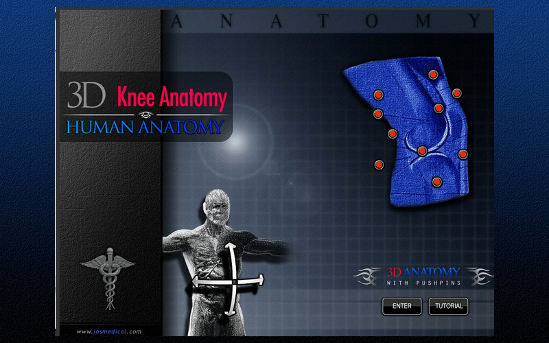 Knee Anatomy 3D 1.0 : Knee Anatomy 3D screenshot