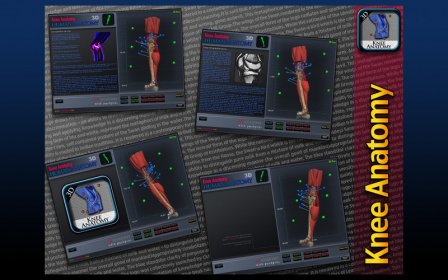 Knee Anatomy 3D screenshot