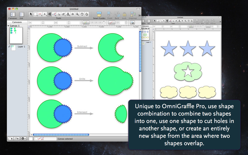 OmniGraffle Pro 5.4 : OmniGraffle Pro screenshot