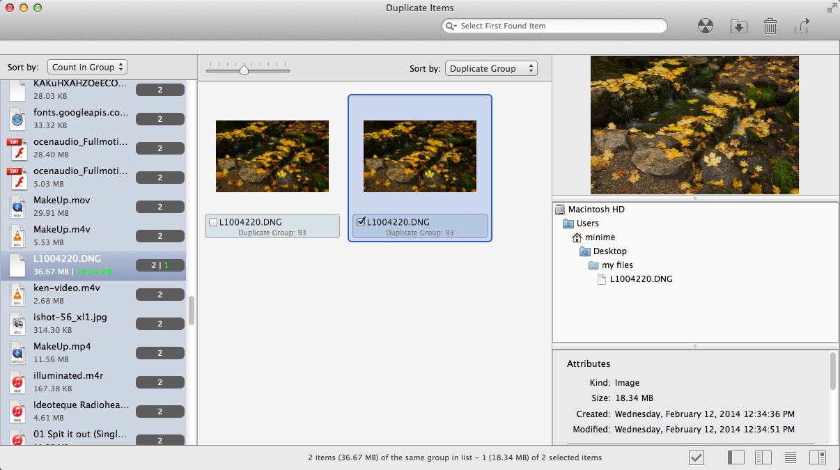 Tidy Up 4.0 : Preview Duplicated Image