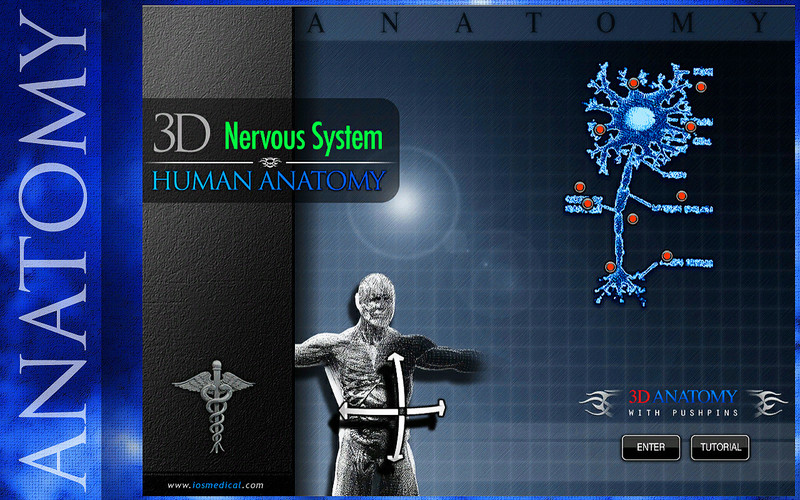 3D Nervous System 1.0 : Main window