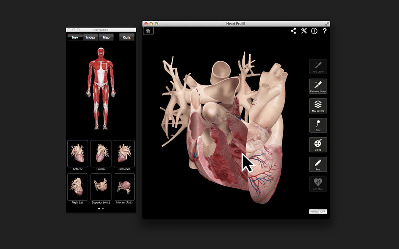 Heart Pro III 3.0 : Main window