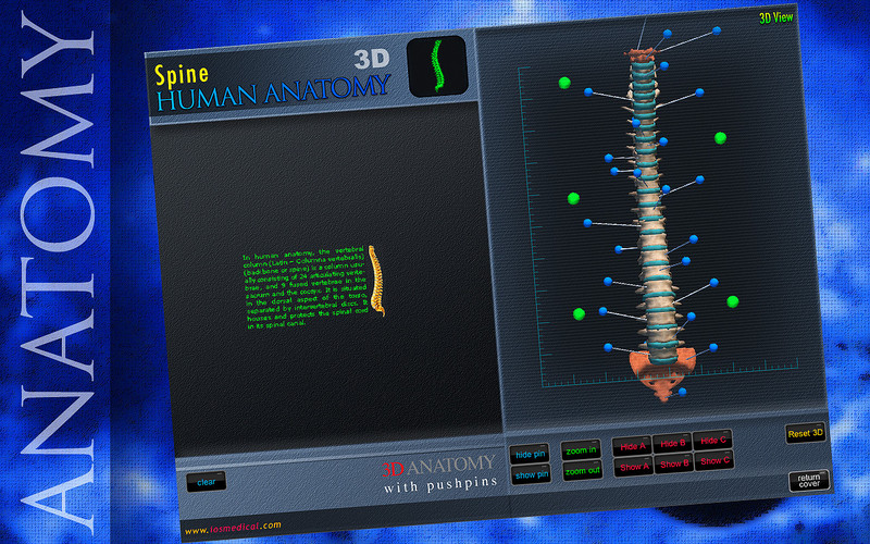 3D Spine St 1.0 : 3D Spine St screenshot