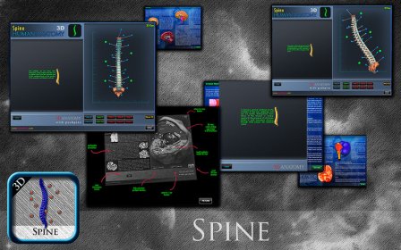 3D Spine St screenshot