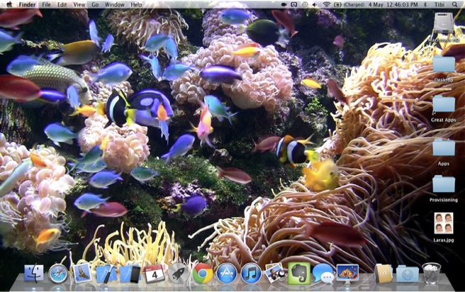 Desktop Aquarium 1.1 : General view