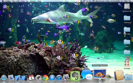 Desktop Aquarium screenshot
