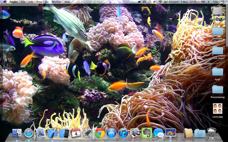 Desktop Aquarium 1.1 : Desktop Aquarium screenshot