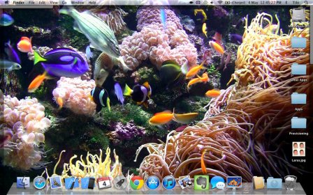 Desktop Aquarium screenshot