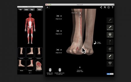 Ankle & Foot Pro III screenshot