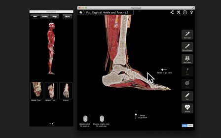 Ankle & Foot Pro III screenshot
