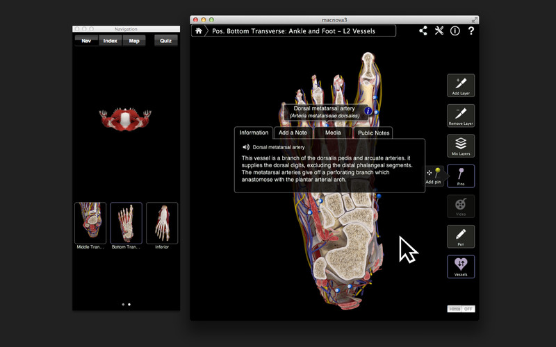 Ankle & Foot Pro III 3.0 : Ankle & Foot Pro III screenshot