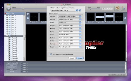 Flash Decompiler Trillix screenshot