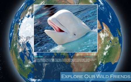 Amazing Earth 3D - Wild Friends screenshot