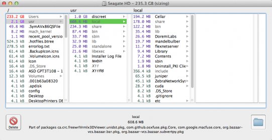 google cache delete omnidisksweeper