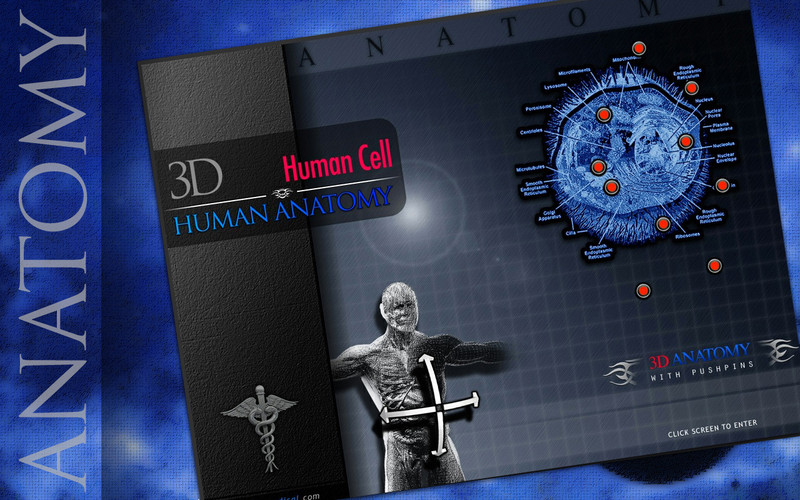 Human Cell 3D 1.0 : Main window