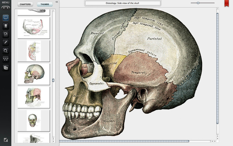 Gray's Anatomy Premium Edition 1.4 : Gray's Anatomy Premium Edition screenshot