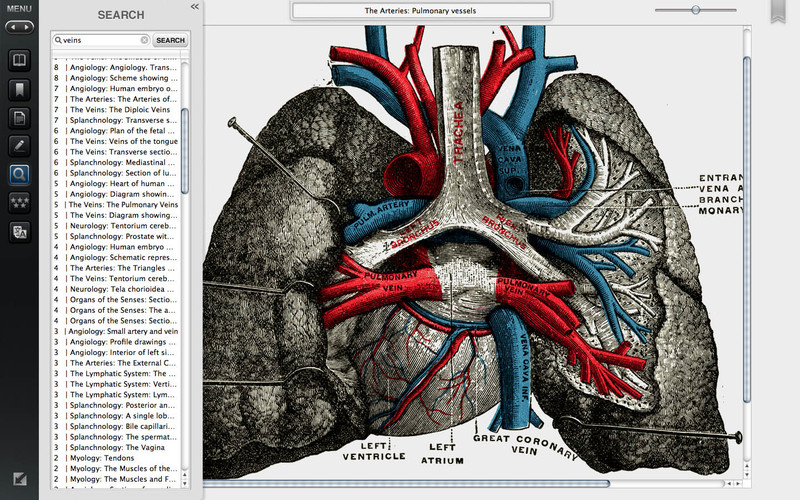 Gray's Anatomy Premium Edition 1.4 : Gray's Anatomy Premium Edition screenshot