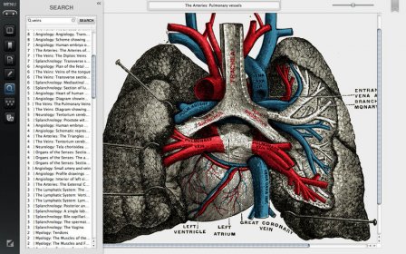 Gray's Anatomy Premium Edition screenshot