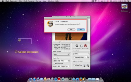 Flash Converter screenshot