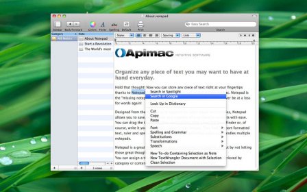 Apimac Notepad screenshot