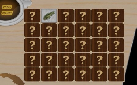 Puzzle Pro 3x1 screenshot