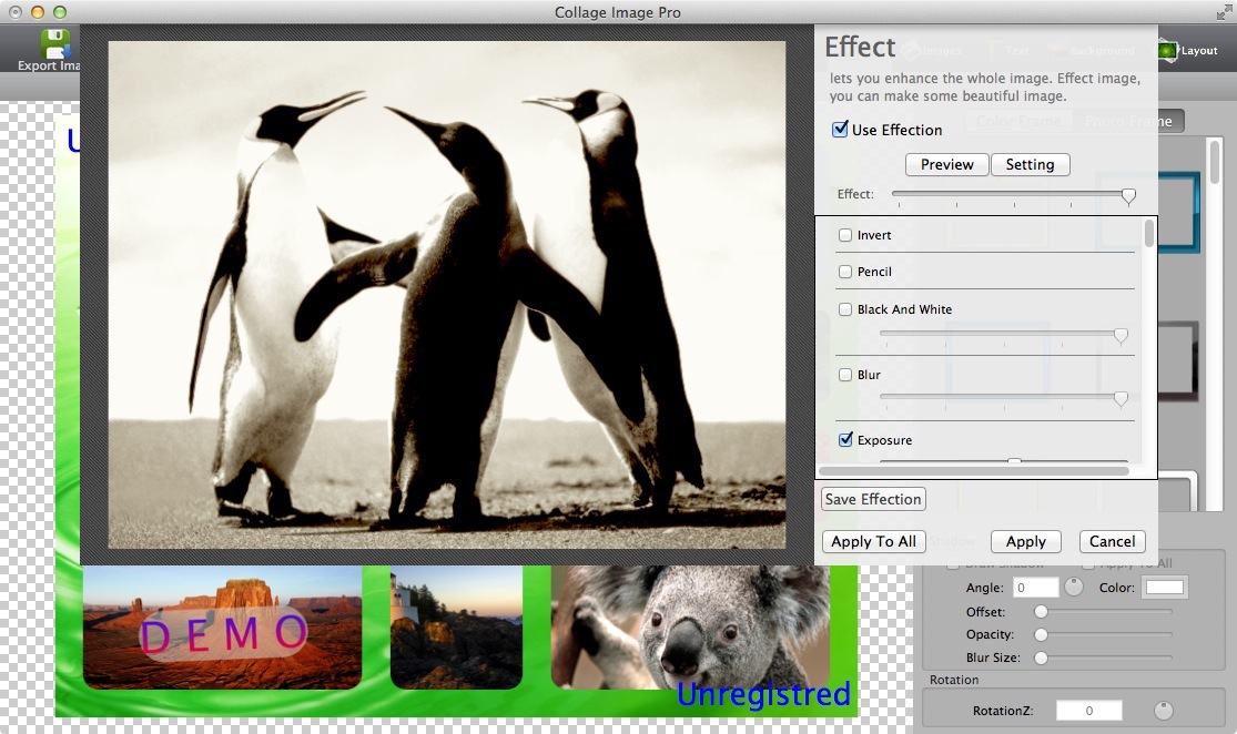 Collage Image Pro 2.0 : Effect Options