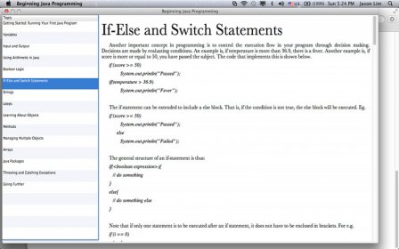 Beginning Java Programming screenshot