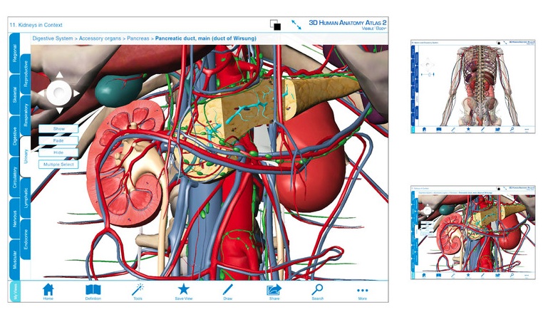 Visible Body 3D Human Anatomy Atlas 2 2.2 : Main window