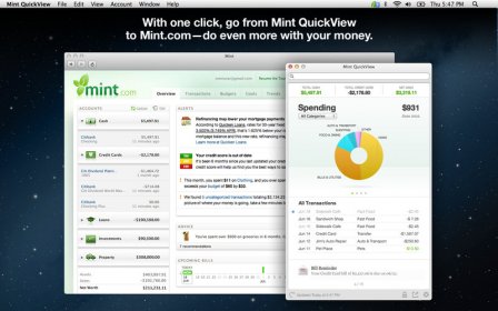 Mint QuickView screenshot