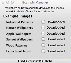 Lion Designer 3.3 : Example Manager Window