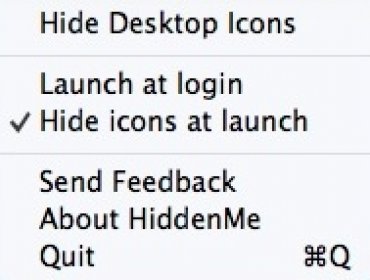 Selecting Hide Icons At Launch Option