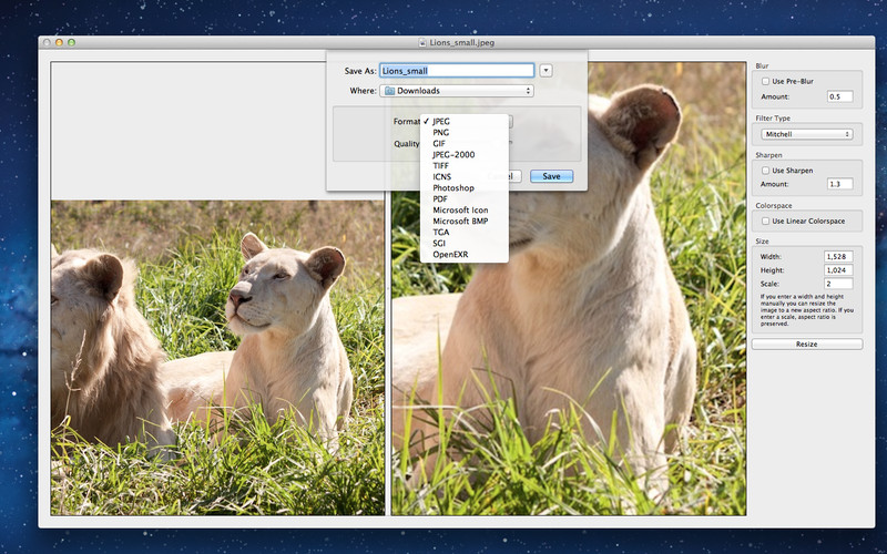 Image Enlarger HQ Batch 1.0 : Image Enlarger HQ Batch screenshot