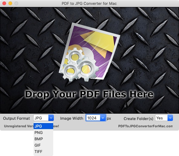 PDF to JPG Converter 2.2 : Setting Output Format