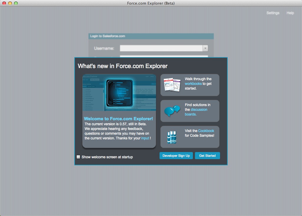 Force.com Explorer 0.5 beta : Main window