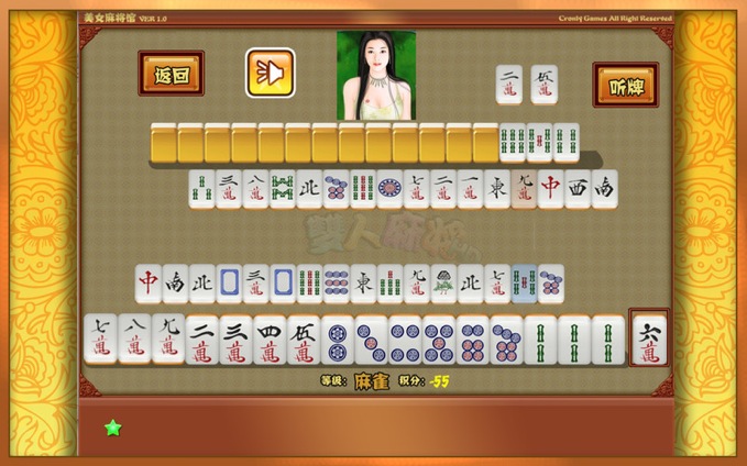 Taiwan Mahjong 1.1 : General view