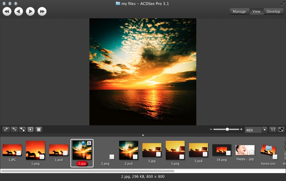 ACDSee Pro 3.1 : Checking Image Library