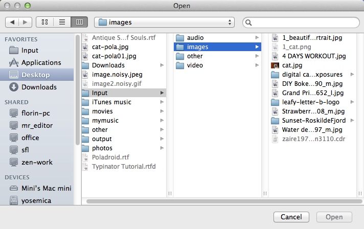 Poladroid 0.9 beta : Selecting Input File