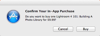 AV For Lightroom CS6 1.0 : Confirming In-App Purchase
