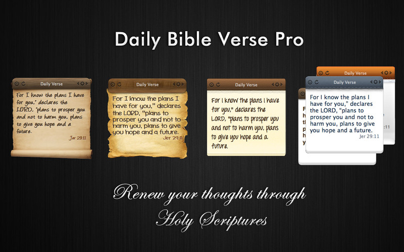 Daily Bible Verse Pro 1.2 : General View