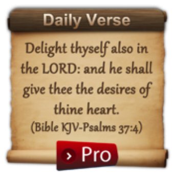 Daily Bible Verse Pro screenshot