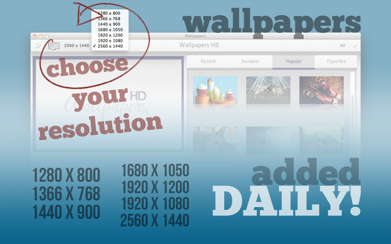 Wallpapers HD 1.7 : WallPapers HD screenshot