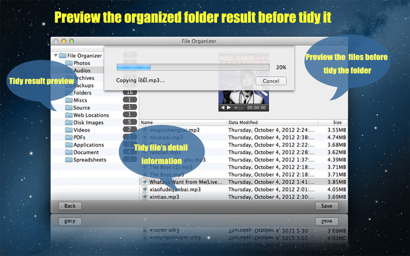 File Organizer 1.0 : File Organizer screenshot