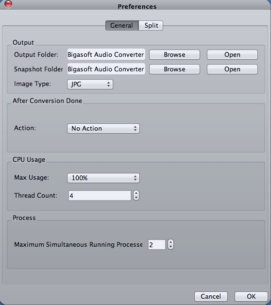 Bigasoft Audio Converter 4.2 : Program Preferences