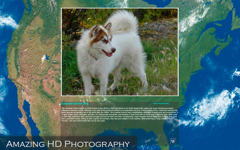 Amazing Earth 3D: Dogs 1.0 : Main window