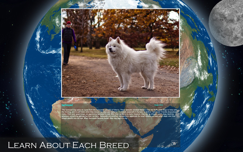 Amazing Earth 3D: Dogs 1.0 : Amazing Earth 3D: Dogs screenshot