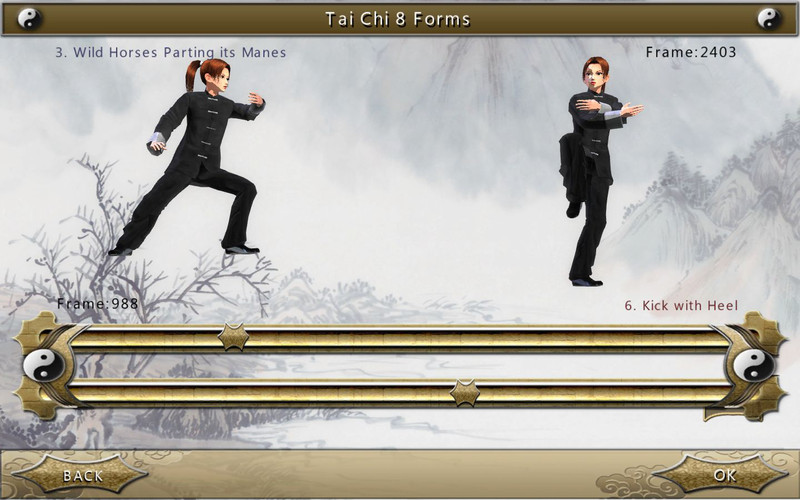 3D Tai Chi 8+16 Forms 1.1 : 3D Tai Chi 8+16 Forms screenshot