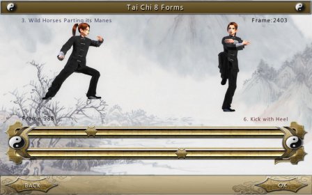 3D Tai Chi 8+16 Forms screenshot
